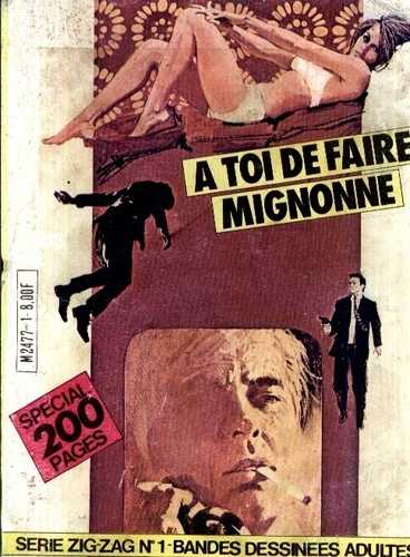 Une Couverture de la Srie Zig Zag